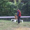 foire-haricots 2011-09-17et18